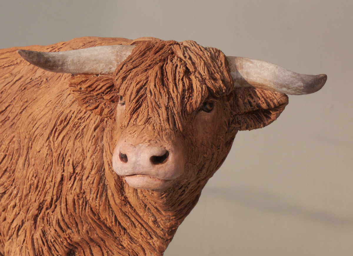 Highland Bull Sculpture Film
