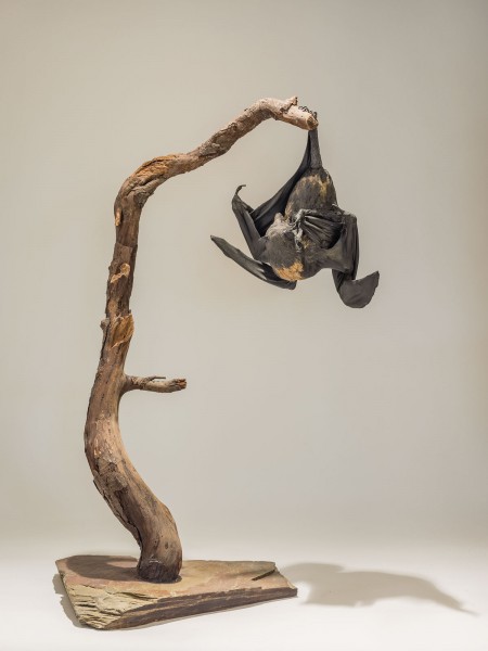 Livingstone fruit bat sculpture