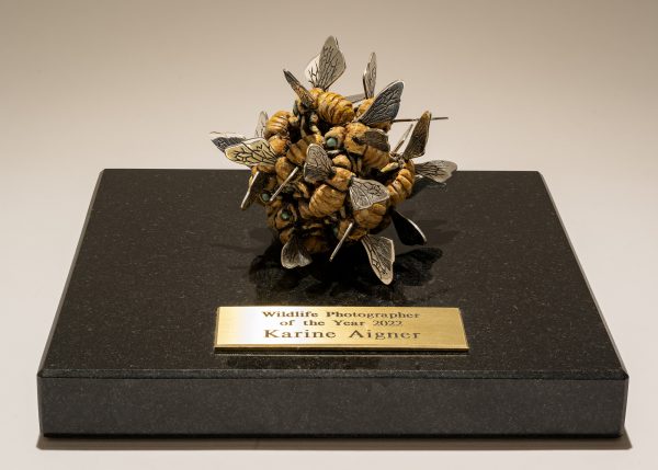 Bee Sculpture Trophy