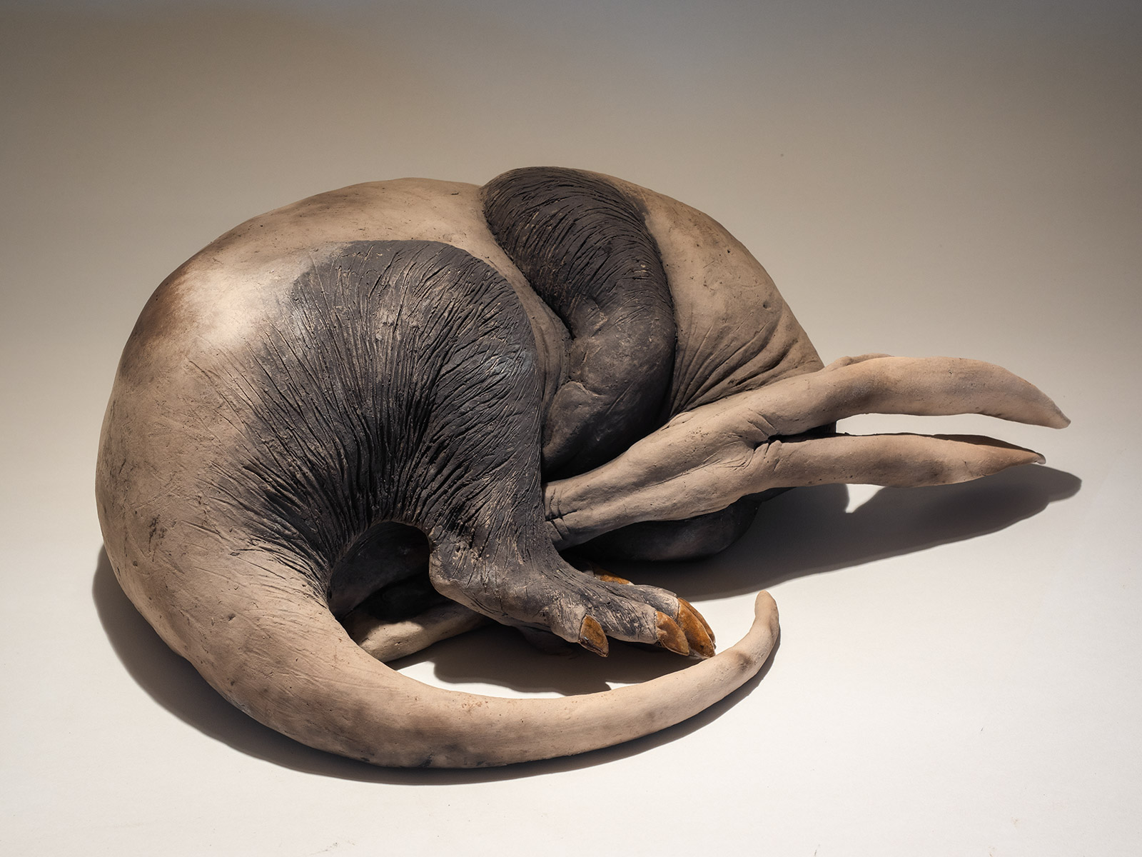 Aardvark Sculpture