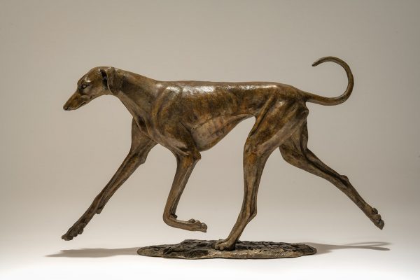 Azawakh Dog Bronze