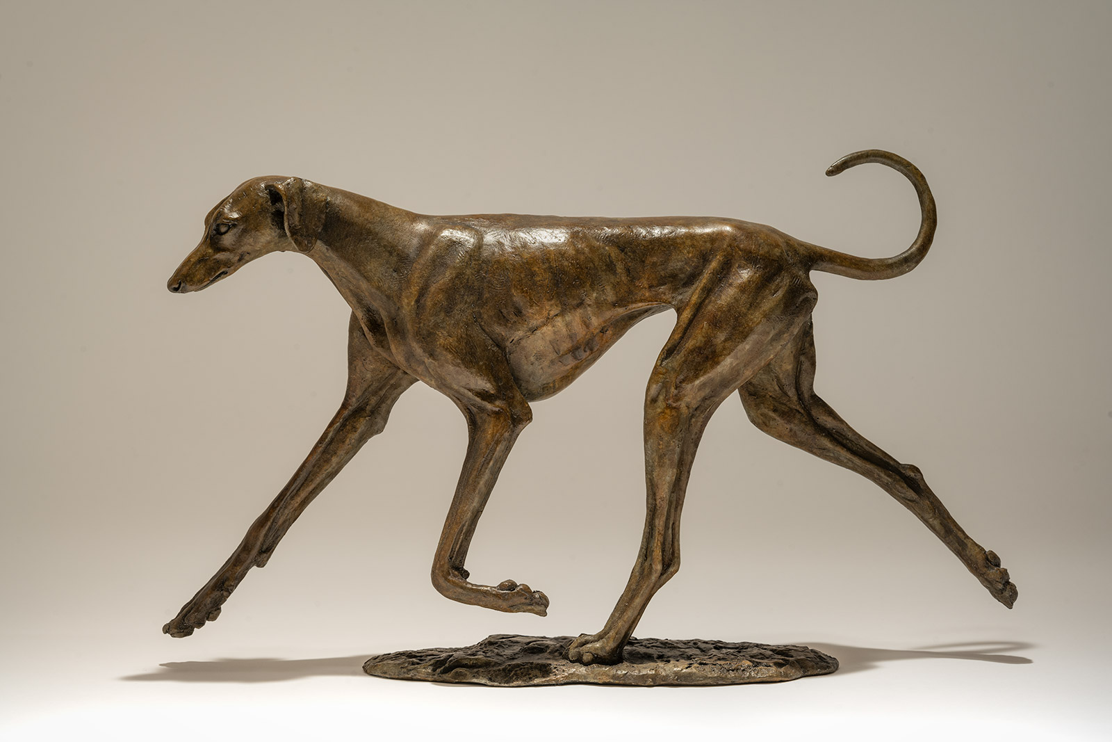 Azawakh Dog Sculpture (Bronze)