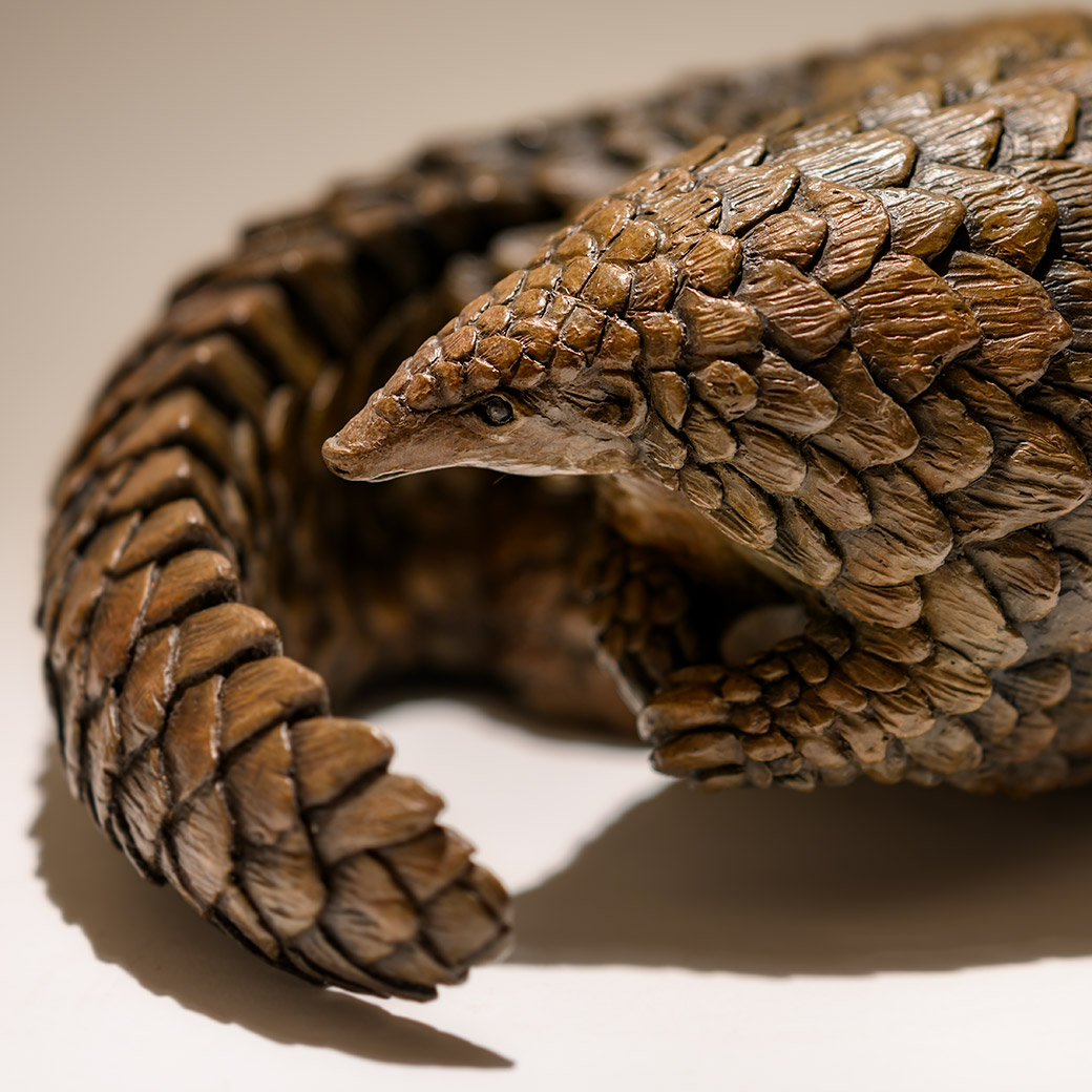 The Plight of the Pangolin