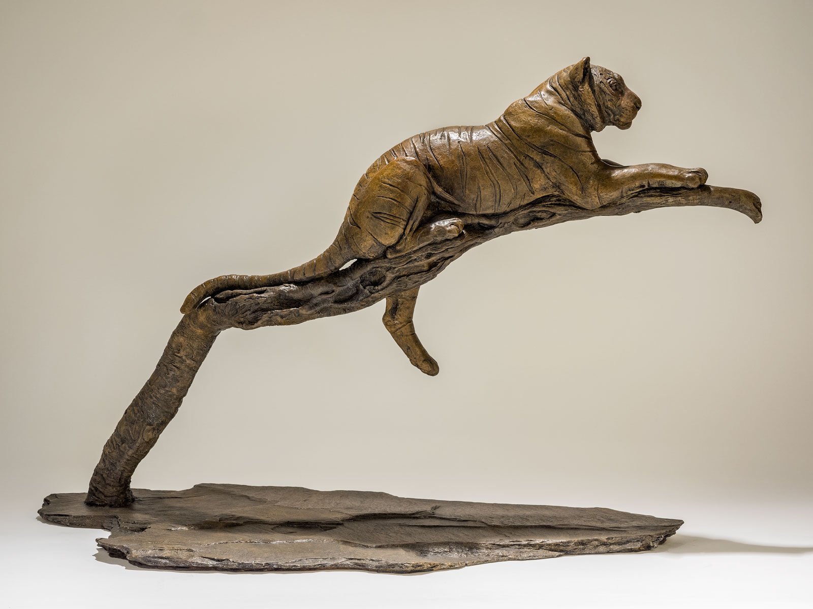 jury George Bernard det er alt Bronze Tiger Sculpture - NICK MACKMAN