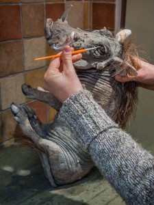 Cleaning Animal Sculptures
