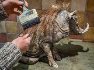 Cleaning Animal Sculptures