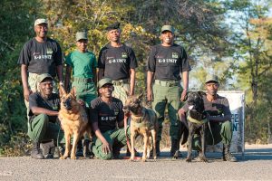 Conservation South Luangwa K9 Force
