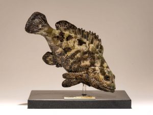 Fish Sculpture Trophy