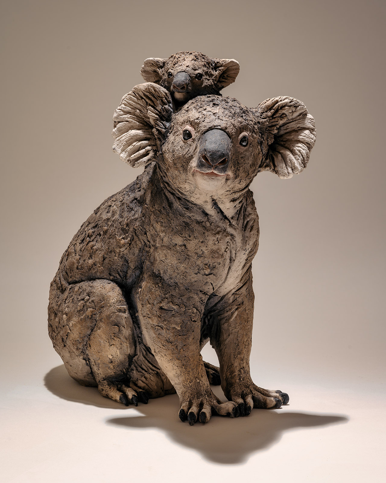 Win a Koala Sculpture