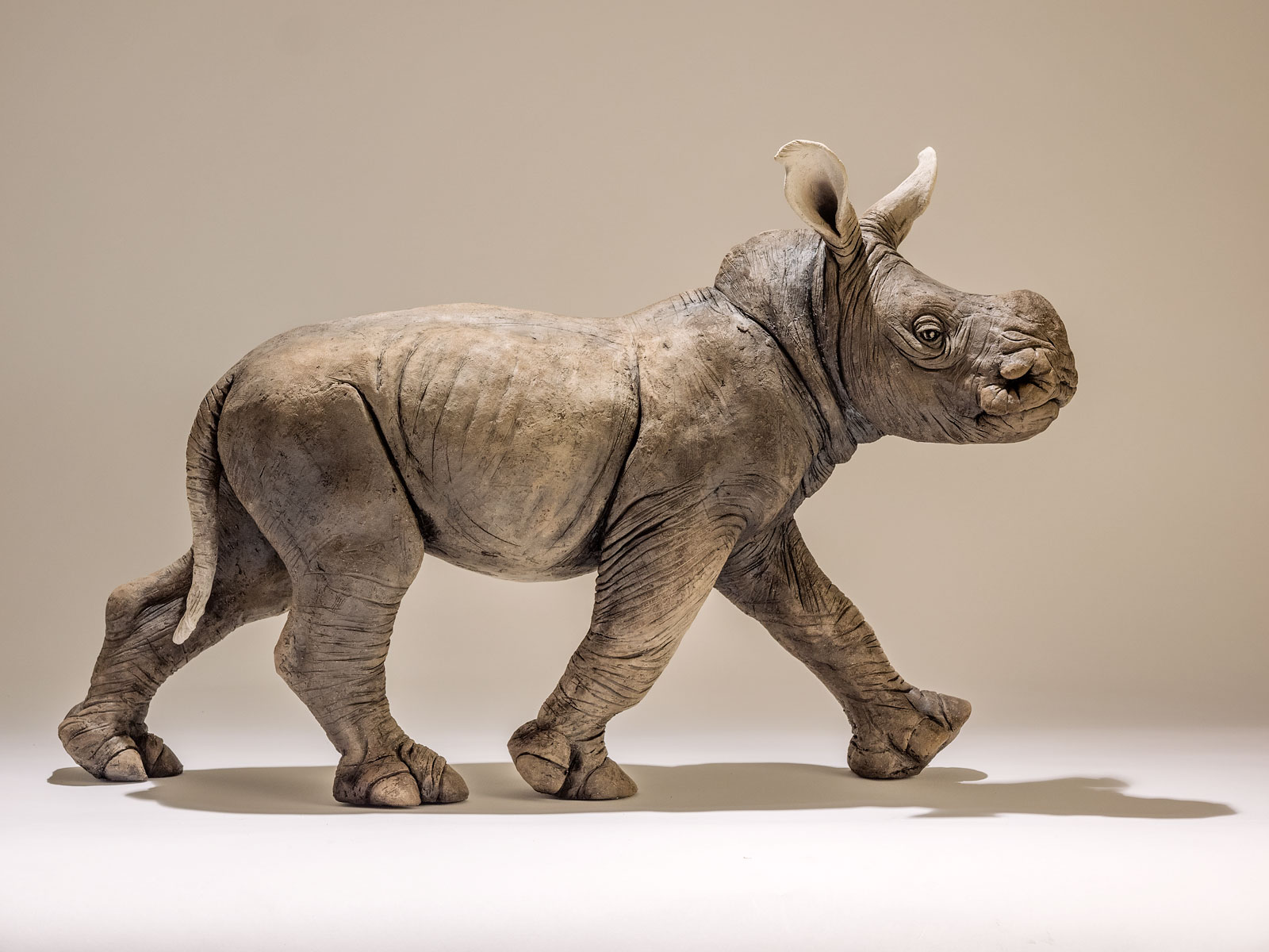 Rhino Sculpture