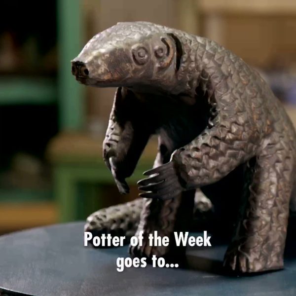 Potter of the Week