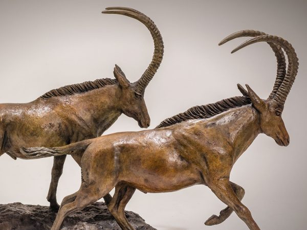 Bronze Antelope Sculpture