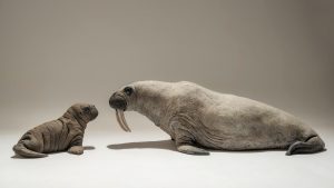 Walrus Sculptures