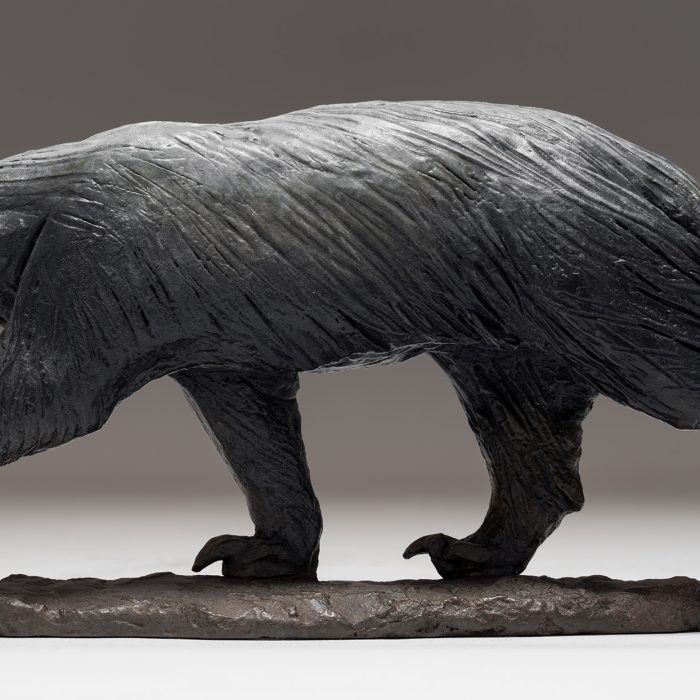 Honey Badger (Small)