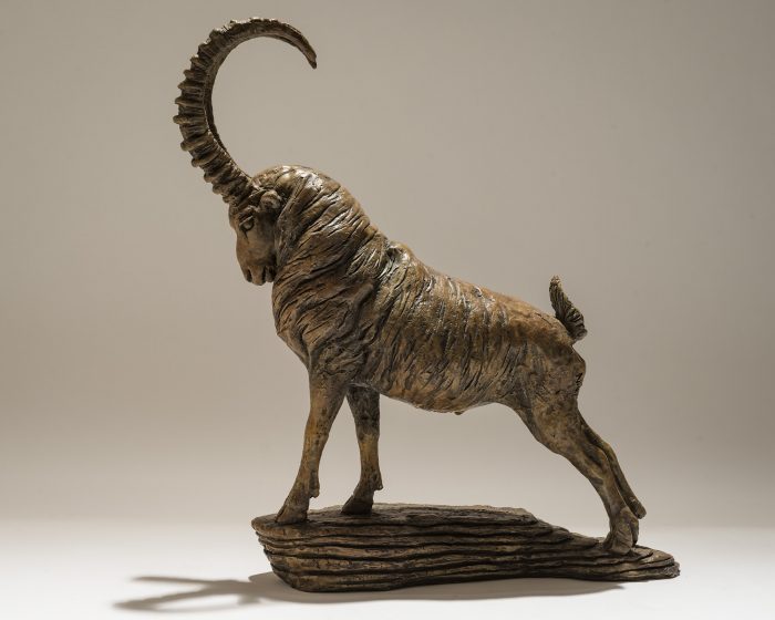 Alpine Ibex Sculpture in Bronze